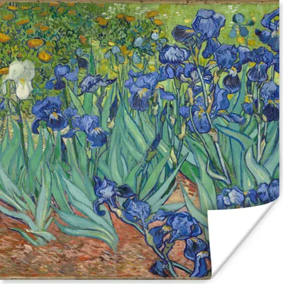 Produktbild von MuchoWow® Poster Schwertlilien - Vincent van Gogh 75x75 cm - Wand Dekoration
