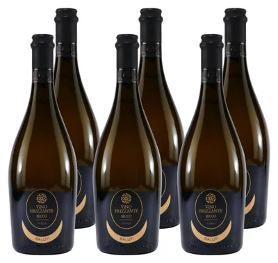 Produktbild von Saluti Vino Frizzante Bianco Secco (6 x 0,75L)