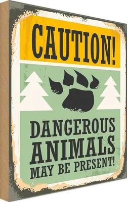 Produktbild von vianmo Holzschild 30x20 cm Caution dangerous animals Warnschild Hinweisschild