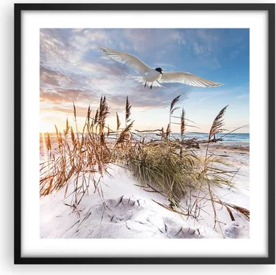 Produktbild von Gerahmtes Poster - Schwarzer Rahmen - Möwe Meer Küste - 50x50 cm - Wand Bild - Wanddeko - Wandbilder - Kunstposter - Wandposter - Bilderrahmen - Bilder - Kunstdruck - Wanddekoration - P2BAC50x50-4902
