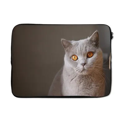 Produktbild von MuchoWow® Laptop Hülle 14 ZollKatze - Tiere - Augen Laptoptasche - Laptoptasche - Stoßsicher - Schutzhaube