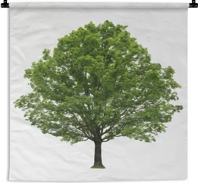 Produktbild von MuchoWow® Wandteppich Wandbehang Ahornbaum auf weißem Hintergrund 60x60 cm Tapisserie Dekoration Wandtuch - Dekorationen - Wand Decke
