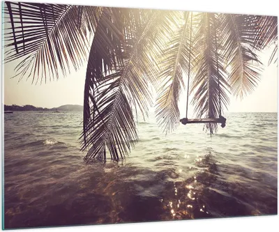 Produktbild von Bilder auf glas - Meer Palme Wasser - 100x70cm - Glasbilder - Wandbilder - Kunstdruck - zum Aufhängen bereit - Wanddekoration aus Glas - Glas Bilder - Wandbild auf Glas - Einteilig - GAA100x70-3634