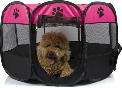 A dog is inside a pink and black pet playpen.