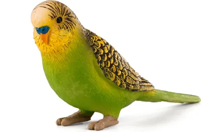 Obrázok produktu pre Animal Planet figúrka zvieratka - Zelený papagáj - 2 cm x 7,5 cm x 4 cm - detailne spracovaná a ručne maľovaná - vysoká kvalita a bezpečnosť