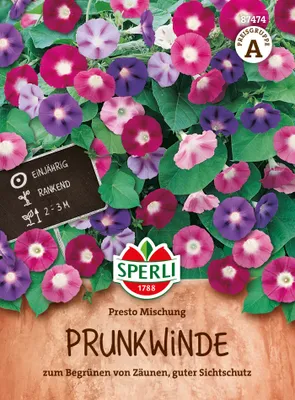 Produktbild von SPERLI Prunkwindensamen Presto 20 Pflanzen