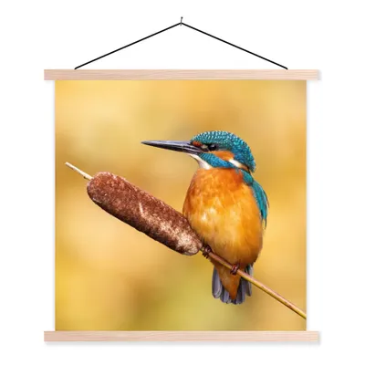 Produktbild von MuchoWow® Textilposter Eisvogel - Natur - Vogel 120x120 cm mit holzfarbenen Rahmen - Textil-Poster