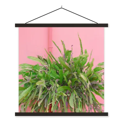 Produktbild von MuchoWow® Textilposter Pflanze - Sommer - Rosa 40x40 cm mit schwarzem Rahmen - Fotos