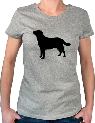 Produktbild von Huuraa Damen T-Shirt Labrador Retriever Silhouette S Sport Grey Bio Baumwolle Fairtrade Damenshirt Geschenkidee
