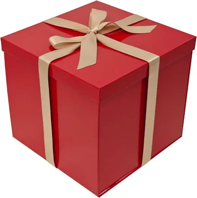 Produktbild von Geschenkbox 22x22x20,5 cm, rot, mit Deckel und Schleife, für Geburtstag
