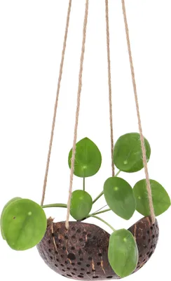 Produktbild von Kokosnuss Teelicht zum Hängen, Natürlicher Dekotopf, Hängeampel aus Kokosnuss - Modell 12, Braun, Kokosnuß, 8*14*14 cm, Vasen & Blumentöpfe