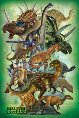 Obrázok produktu pre Vzdelávacie dinosaury - bylinožravce dinosaury - plagát Print 61x91,5 cm
