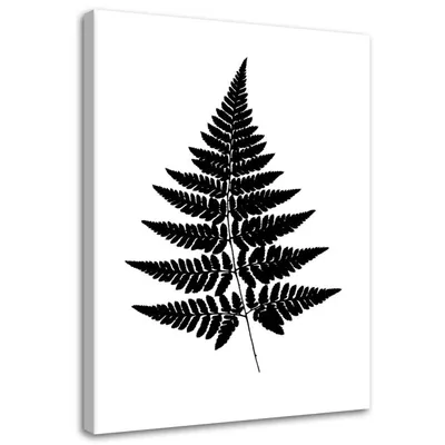 Produktbild von Leinwandbild farnblatt 60x90 cm Feeby grau wandbild bereit zum aufhängen