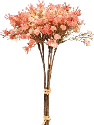Produktbild von HOMLA Blumenstrauß CLADEL künstliche Koralle 30 cm