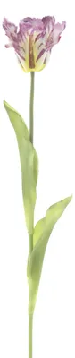 Produktbild von Warentuin Producten
