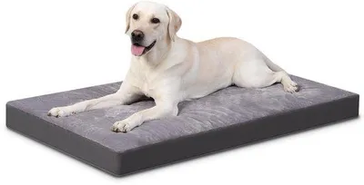 Image de Lit orthopédique pour chien XXL, imperméable, gris, 119 x 73 x 9 cm
