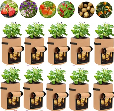 Image de 10 sacs de plantes, sac de plantation de pommes de terre 7 gallons avec poignées et fenêtre, respirant sac de légumes Grow Bag sac de plantation pour carottes/oignons/légumes (brun)
