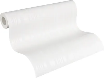 Zdjęcie produktu dla A.S. Création tapeta włókninowa Meistervlies Pro Protect 2, biała, do malowania, 10,05 m x 0,53 m, 569813, 5698-13