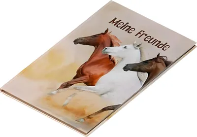 Produktbild von Pagna® 20343-15 Freundebuch Wildpferde - 60 Seiten