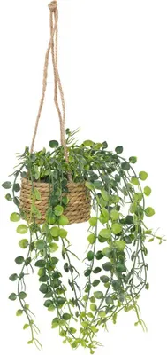 Produktbild von Künstliche hängepflanze "patri" h47cm  - Atmosphera créateur d'intérieur