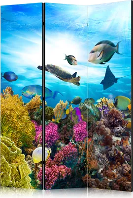 Produktbild von 3-teiliger Einseitiger Vlies Paravent - Coral reef 135x172 cm Landschaften g-A-0093-z-b