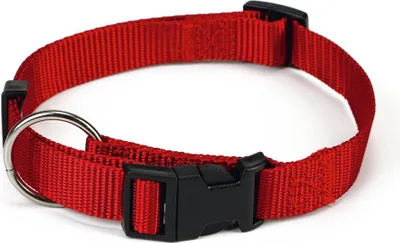 Produktbild von Beeztees - Hundehalsband - Nylon - rot - 35-55 cm x 20 mm