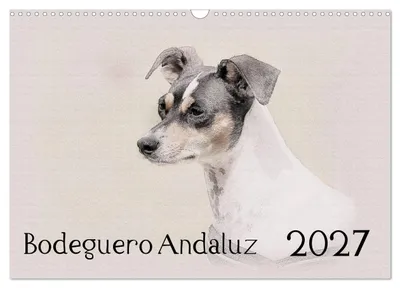 Produktbild von Kalender 2027 · US-Version · Bodeguero Andaluz 2027 (Wandkalender 2027 17" × 12" Querformat), CALVENDO 12-Monats-Wandkalender