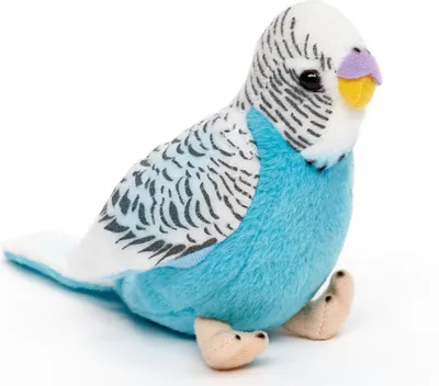 Produktbild von Uni-Toys - Wellensittich (blau) mit zwitschernder Stimme - 12 cm (Höhe) - Plüsch-Vogel - Plüschtier, Kuscheltier
