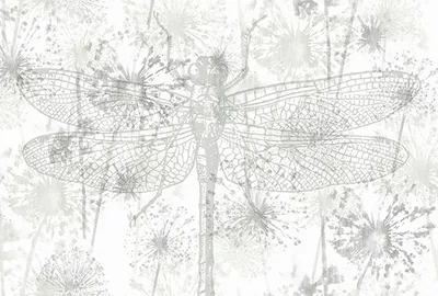 Produktbild von Tadessi Fototapete | Tiere | 4.00 m x 2.70 m | Grau | Weiß | Wandbild | Digitaldruck