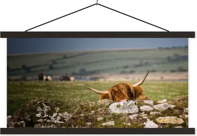 Produktbild von MuchoWow® Textilposter Schottische Hochlandrind - Steine - Gras 120x60 cm mit schwarzem Rahmen - Dekoration Schlafzimmer