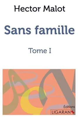 Image de Sans famille
