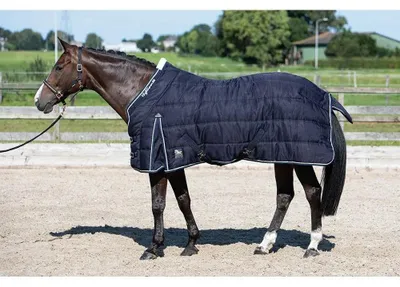 Immagine prodotto di Harry's Horse Highliner 200 g, coperta da stalla blu, 145 cm, blu, 145 cm