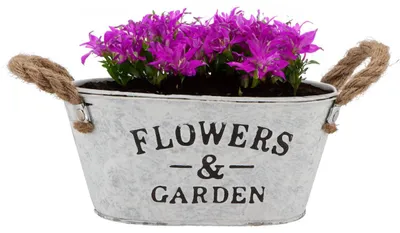 Produktbild von Pflanzentopf/Blumentopf Teil Jardin - oval - Zink - weis - L21 x T13 x H10 cm