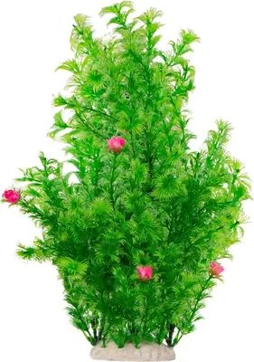 Image de Kruger Meier Plante Rosebud - plante artificielle