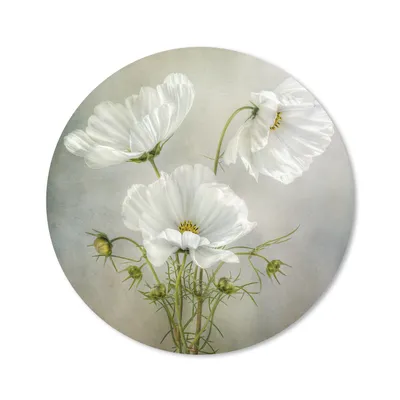 Produktbild von MuchoWow® Mauspad Mousepad Blumen - Stillleben - Mohn - Weiß - Botanisch 40x40 cm - Mousepads - Maus Mat - Pad - Mausunterlage - Schreibtisch Accessoires