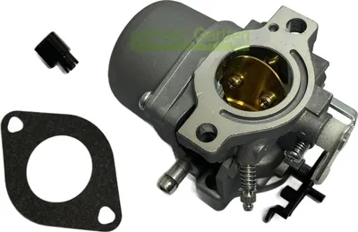 Kit Carburatore - Serbatoio Adattabile A Motori Briggs E Stratton Sprint Classic Quattro Ecc - Foto 12