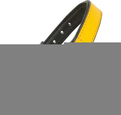 Image de Collier de chien Gloria rembourré jaune (50 x 2,5 cm)