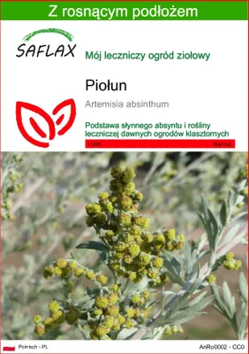 Zdjęcie produktu dla SAFLAX - Piołun - 500 Nasiona - Z podłożem uprawowym wolnym od zarazków - Artemisia absinthum