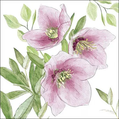 Produktbild von Servietten Papier 33x33cm 3-lag mit Blumen Aquarellstil Motiv 20 Stück
