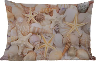 Produktbild von MuchoWow® Outdoor Kissen - Seestern - Muscheln - Strand - Sommer - 60x40 cm - Wetterfest - Lounge Kissen - Zierkissen - Kissen für Innenräume