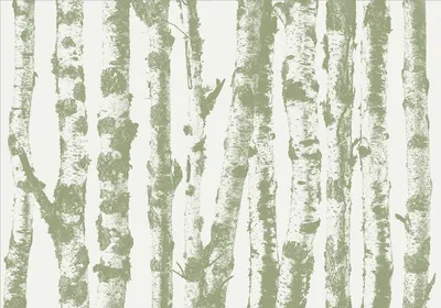 Zdjęcie produktu dla Tapeta flizelinowa natura 450x315 cm fototapeta XXL drzewa las brzozowy abstrakcyjny las brzozowy b-A-0701-a-d