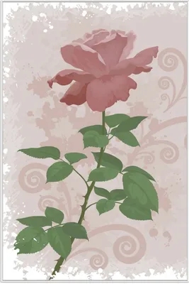 Produktbild von Wallario Wandbild Rose in Pastellfarben gezeichnet, Größe: 61 x 91,50 cm, Poster mit weißem Aluminiumrahmen