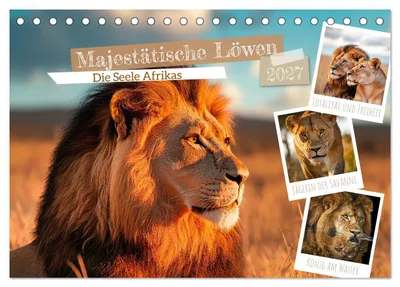 Produktbild von Majestätische Löwen - Die Seele Afrikas (Tischkalender 2027 DIN A5 quer), CALVENDO Monatskalender