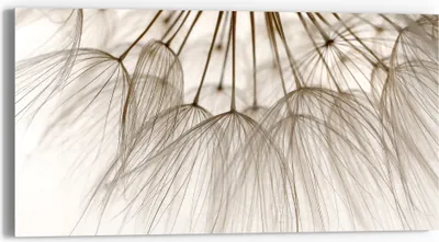Produktbild von DEQORI Glasbild Echtglas 60x30 cm 'Pusteblumenpoesie' Wandbild Bild modern Deko