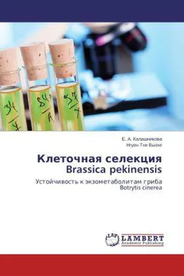 Produktbild von Kletochnaya selektsiya Brassica pekinensis