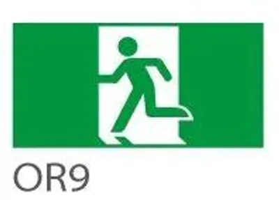 Image de Pictogramme "Sortie de Secours" pour Luminaires ORION300X100 OR9