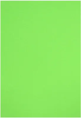 Immagine prodotto di folia 6451 Tonpapier DIN A4 130 g/qm hellgrün