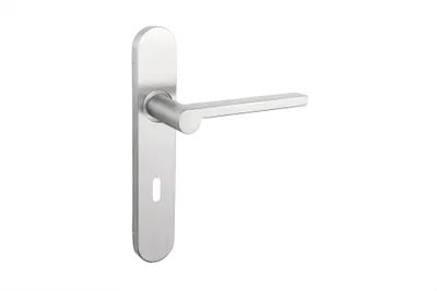 Produktbild von Lavuzo Türgriff Caserta Edelstahl mit abgerundetem Schild SL72 - Pro Set