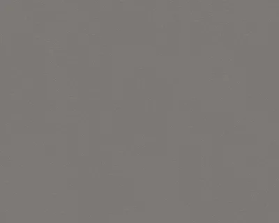 Immagine prodotto di A.S. Création Carta da parati in tessuto non tessuto con punti glitter 3 grigio metallizzato 10,05 m x 0,53 m 303240