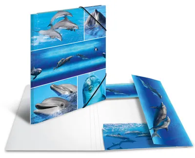 Zdjęcie produktu dla HERMA Sammelmappe A4 Delfine Pappe